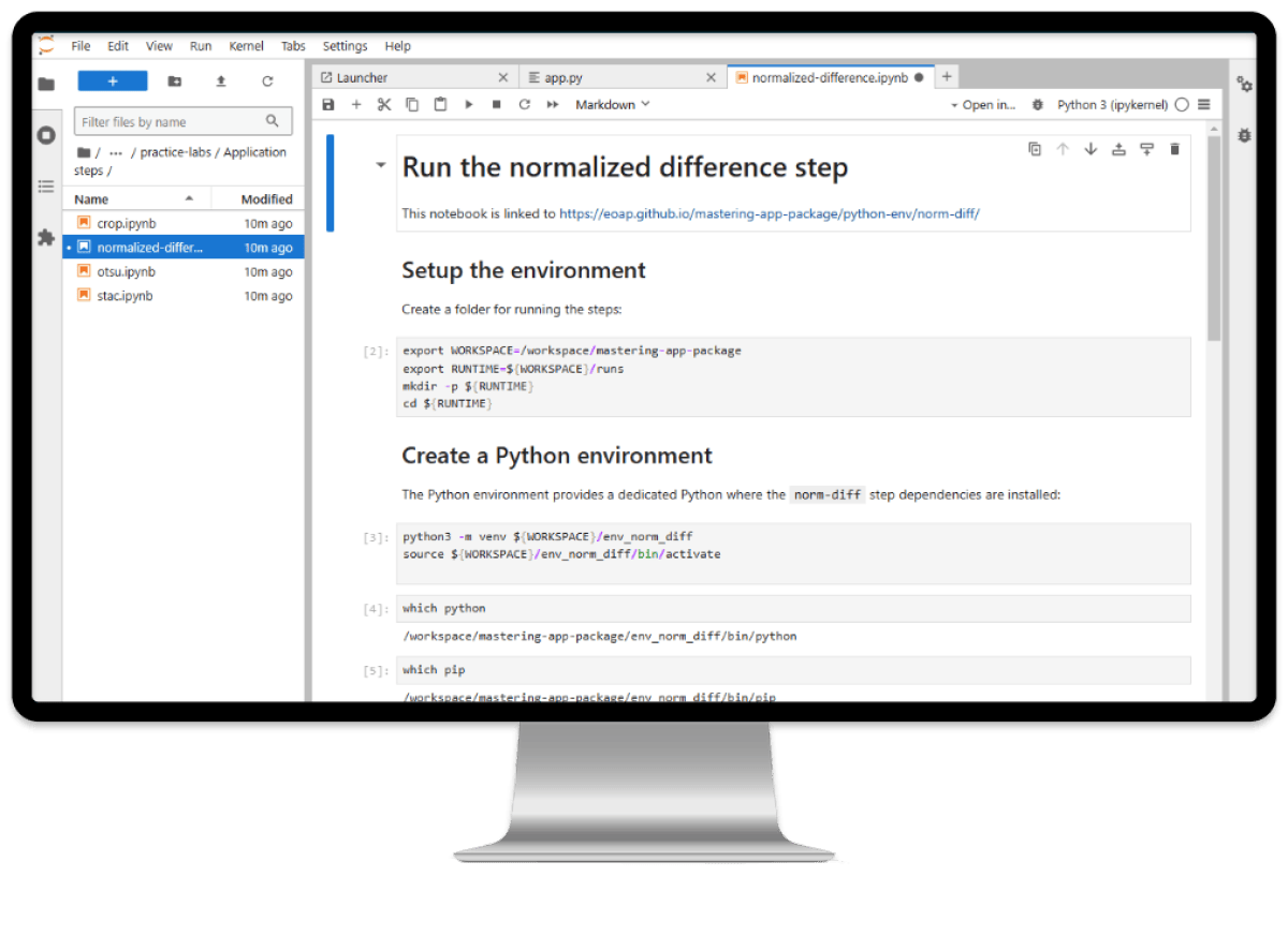 APEx JupyterLab IDE